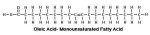 oleicacid2