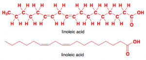 linoleic